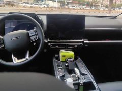 Haval Big Dog PLUS 1.5T Two-Wheel Drive Trendy Wilderness Edition Plus - ფოტო 12