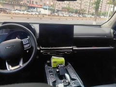 Haval Big Dog PLUS 1.5T Two-Wheel Drive Trendy Wilderness Edition Plus - ფოტო 13