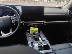 Haval Big Dog PLUS 1.5T Two-Wheel Drive Trendy Wilderness Edition Plus - ფოტო 16
