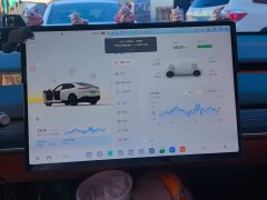Nio Lerado L60 60kWh Rear-Wheel Drive - ფოტო 13