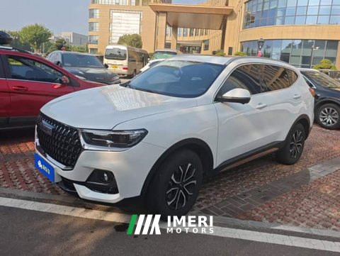2024 Haval H6 2023 National Trend Edition 1.5T Automatic Urban Version - ავტომობილი ჩინეთიდან