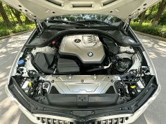 BMW 3 Series 320Li M Sport Package - ფოტო 9