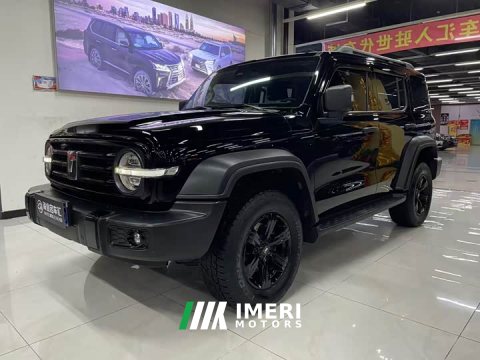 2022 Tank 300 2021 Off-Road Edition 2.0T Conqueror - ავტომობილი ჩინეთიდან