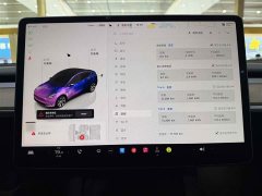 Tesla Model Y 2022 Facelift Rear-Wheel Drive - ფოტო 18
