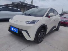 BYD Seagull Glory Edition 405km Flying Edition - ფოტო 1