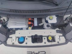 BYD Seagull Glory Edition 405km Flying Edition - ფოტო 10