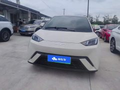 BYD Seagull Glory Edition 405km Flying Edition - ფოტო 2