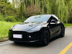Tesla Model Y 2022 Facelift Rear-Wheel Drive - ფოტო 1