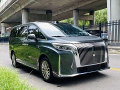 Great Wall WEY Shanshan New Energy 2025 Four-Wheel Drive Shanshan 8 - ფოტო 17