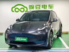 Tesla Model Y Rear-Wheel Drive - ფოტო 1