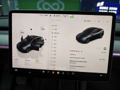 Tesla Model Y Rear-Wheel Drive - ფოტო 12