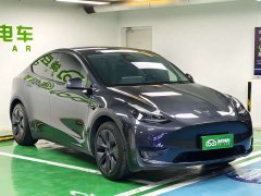 Tesla Model Y Rear-Wheel Drive - ფოტო 4