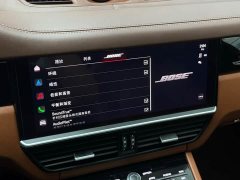 Porsche Cayenne 3.0T Platinum Edition - ფოტო 19