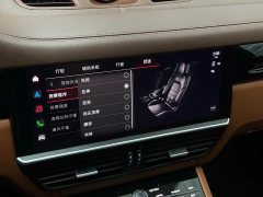 Porsche Cayenne 3.0T Platinum Edition - ფოტო 20