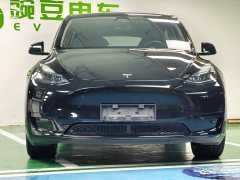 Tesla Model Y Rear-Wheel Drive - ფოტო 4