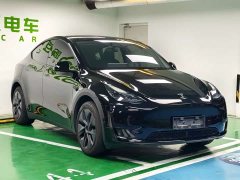 Tesla Model Y Rear-Wheel Drive - ფოტო 5