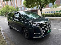 Denza D9 2022 DM-i 970 AWD Flagship - ფოტო 3
