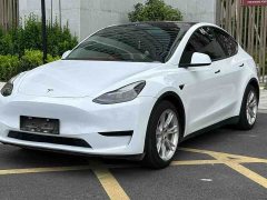 Tesla Model Y Rear-Wheel Drive - ფოტო 1
