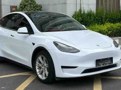Tesla Model Y Rear-Wheel Drive - ფოტო 3