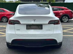 Tesla Model Y Rear-Wheel Drive - ფოტო 8