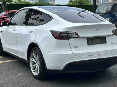 Tesla Model Y Rear-Wheel Drive - ფოტო 9