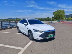 BYD Qin PLUS Glory Edition DM-i 55KM Leading - ფოტო 3
