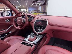 Aston Martin DBX 3.0T Straight-Six - ფოტო 13