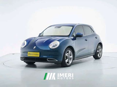 2021 ORA Good Cat 400km Standard Range Venus Edition LFP Battery - ავტომობილი ჩინეთიდან