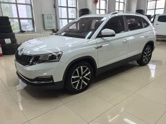 Skoda Comic 1.5L Automatic Comfort Edition - ფოტო 1