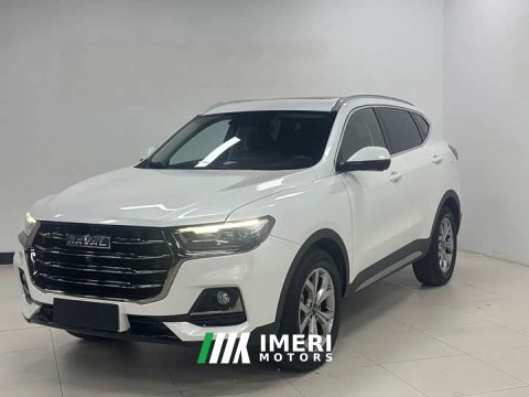 2022 Haval H6 2021 National Trend 1.5T Automatic Champion Edition - ავტომობილი ჩინეთიდან