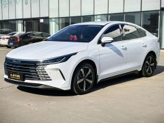 BYD Destroyer 05 2022 DM-i 55KM Luxury - ფოტო 1