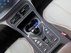 BYD Qin PLUS Champion Edition EV 510KM Excellence - ფოტო 17