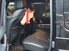 Mercedes-Benz G-Class 2020 G 350 - ფოტო 10