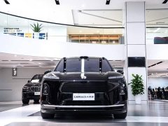 NIO ES8 2026 Six-Seat Executive Signature Edition - ფოტო 4