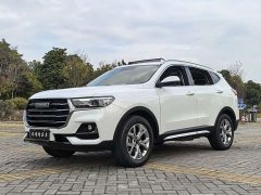 Haval H6 National Trend 1.5GDIT Automatic Champion Edition - ფოტო 1
