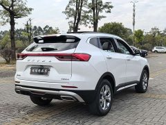 Haval H6 National Trend 1.5GDIT Automatic Champion Edition - ფოტო 6