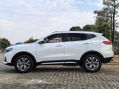 Haval H6 National Trend 1.5GDIT Automatic Champion Edition - ფოტო 7