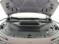 Nio Lerado L60 2024 60kWh Rear-Wheel Drive - ფოტო 10