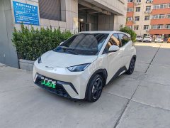BYD Seagull Vitality Edition - ფოტო 1