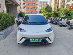 BYD Seagull Vitality Edition - ფოტო 2
