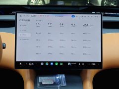Xiaomi YU7 Four-Wheel Drive Max Edition - ფოტო 12