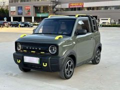 Geely Panda 210km Panda Knight - ფოტო 1