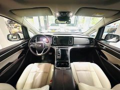 GAC Aion M8 Master Series 390T Luxury Edition - ფოტო 14