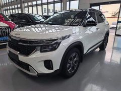 Kia Situs 1.5L CVT Luxury - ფოტო 1