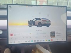 Nio Lerado L60 2024 60kWh Rear-Wheel Drive - ფოტო 14