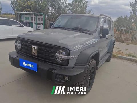 2025 Tank 300 2.0T Gasoline Conqueror - ავტომობილი ჩინეთიდან