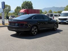 Volkswagen Passat 2024 330TSI Starry Sky Elite - ფოტო 13