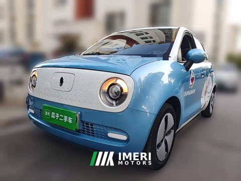 2021 ORA Black Cat 301km Base - ავტომობილი ჩინეთიდან