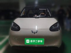 Wuling Binguo 333km Joy Edition - ფოტო 2