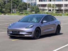 Tesla Model 3 Standard Range RWD Upgrade - ფოტო 1